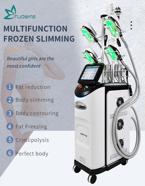 Multifunctional 5 In 1 Frozen Fat Loss Machine