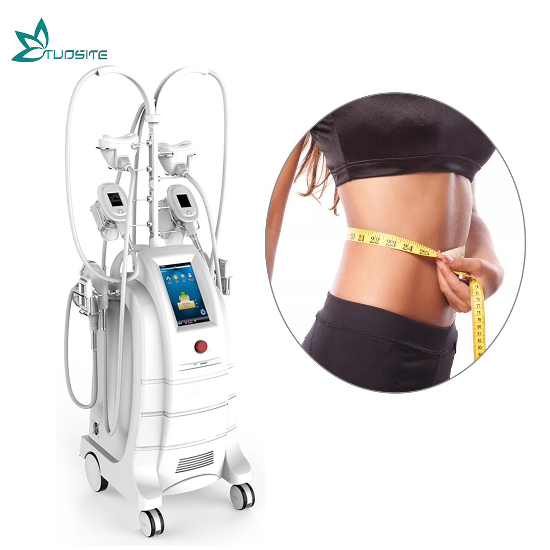 Tech Cryolipolysie 4 Cryolipo Handles Cryotherapy Body Shaping Slimming Machine Fat Freezing