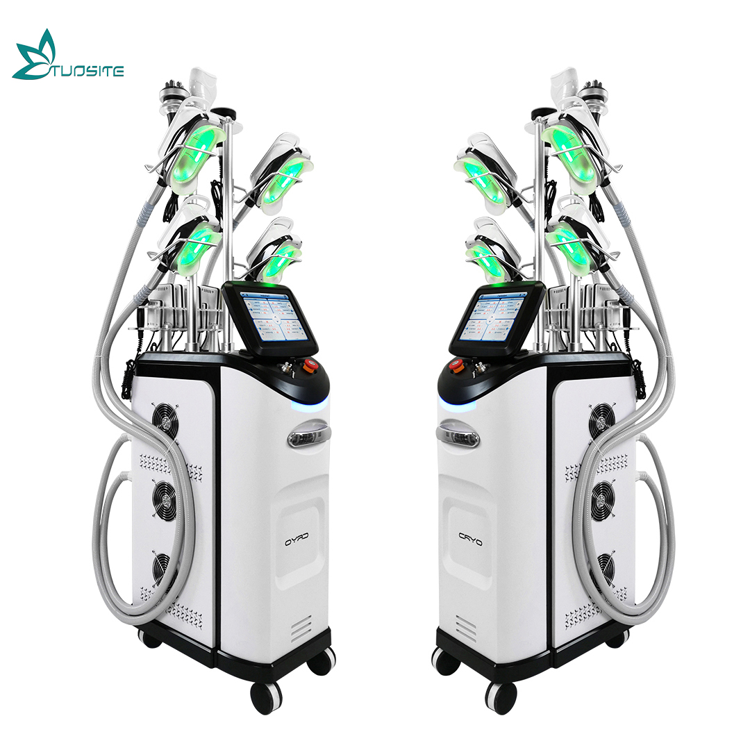 4 Handles Double Chin Removal Weight Loss Cryolipolysis Fat Freeze Slimming Machine for Salon Beauty SPA