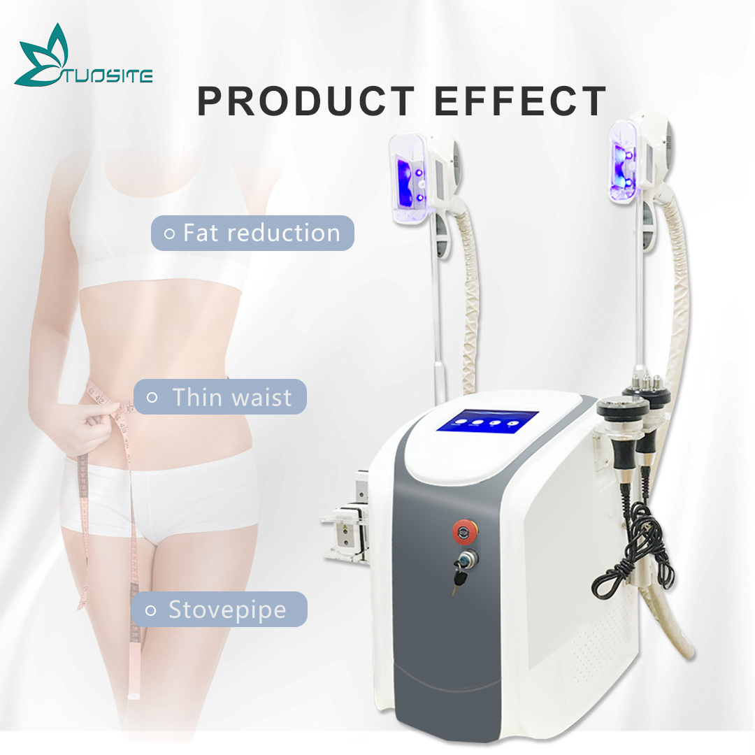 Body Shaping CE Approved Criolipolisis Cool Tech Cryolipolysie 2 Cryo Handles Loss Weight Slimming Machine
