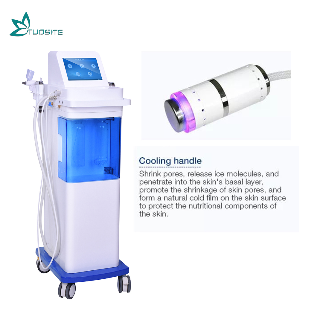 2022 Oxygen Mask 12 in 1 Facial Cleaning Hydra Dermabrasion Oxygen Jet Peel Facial Machine